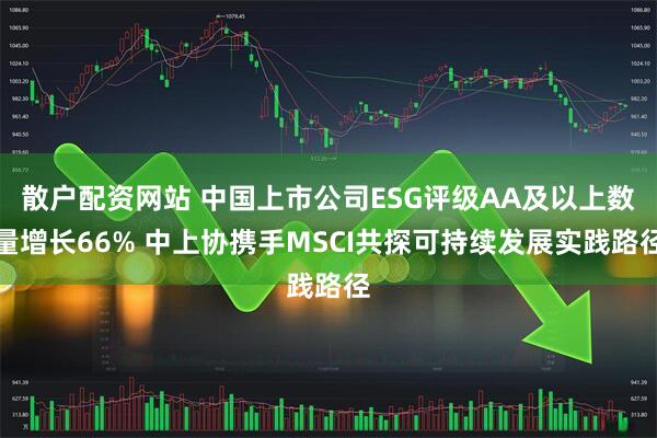散户配资网站 中国上市公司ESG评级AA及以上数量增长66% 中上协携手MSCI共探可持续发展实践路径